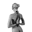 tray-icon