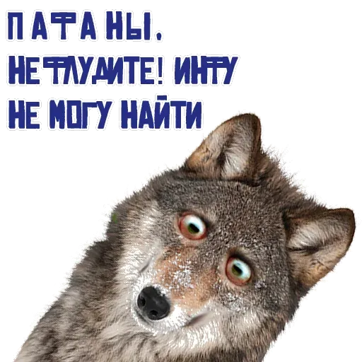 stickers_Porn🔞