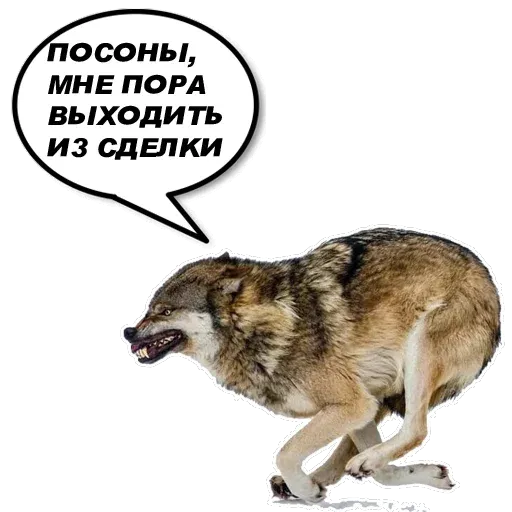stickers_Porn🔞