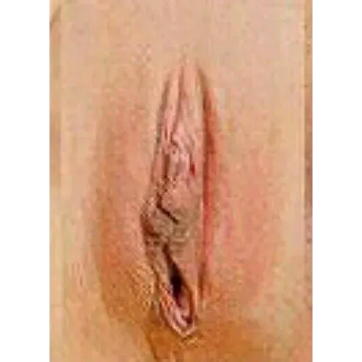 stickers_Porn🔞