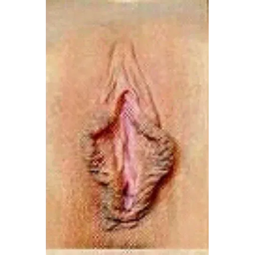 stickers_Porn🔞