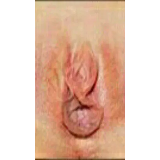 stickers_Porn🔞