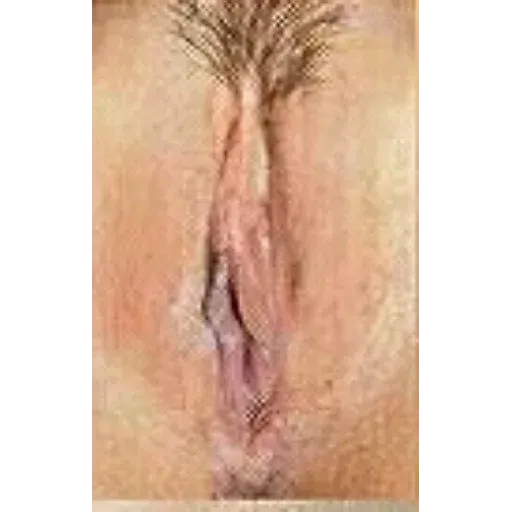 stickers_Porn🔞