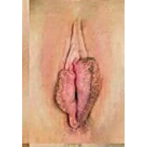 stickers_Porn🔞
