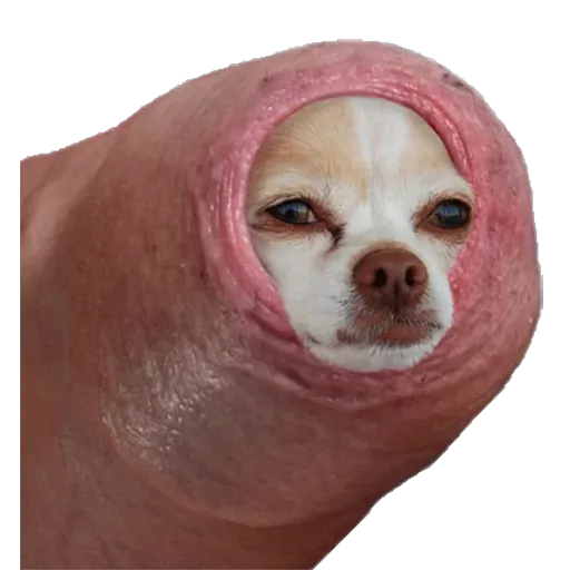 stickers_Porn🔞