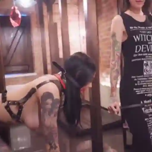 stickers_Porn🔞
