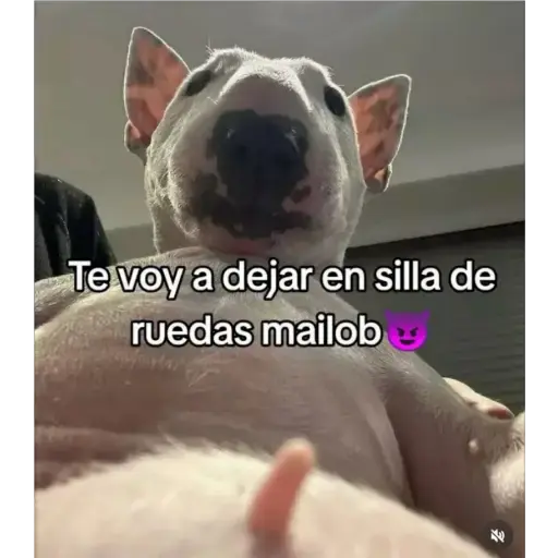 stickers_Porn🔞