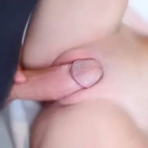 stickers_Porn🔞
